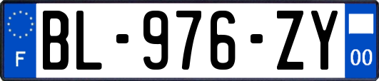 BL-976-ZY
