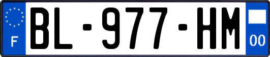 BL-977-HM