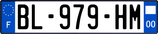BL-979-HM