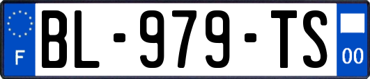 BL-979-TS