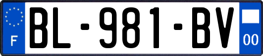 BL-981-BV