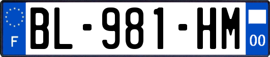 BL-981-HM