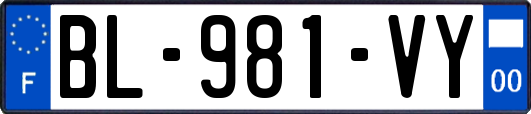 BL-981-VY