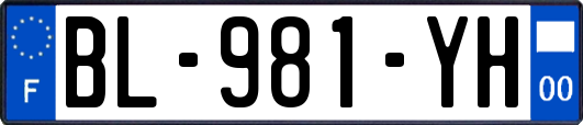 BL-981-YH