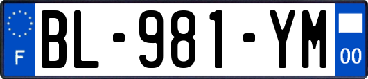 BL-981-YM