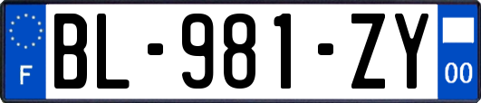 BL-981-ZY