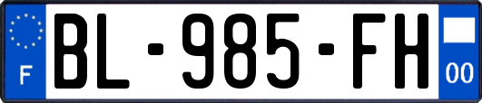 BL-985-FH
