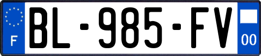 BL-985-FV