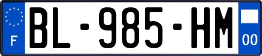 BL-985-HM