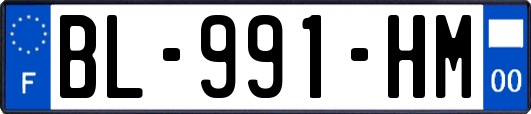 BL-991-HM