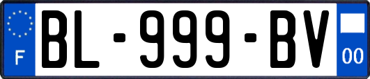 BL-999-BV