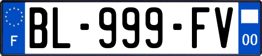 BL-999-FV