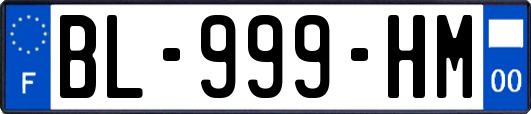 BL-999-HM