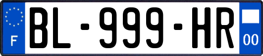 BL-999-HR