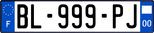 BL-999-PJ