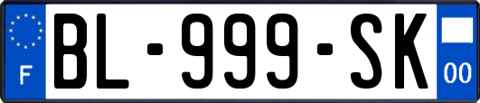 BL-999-SK