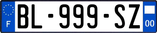 BL-999-SZ