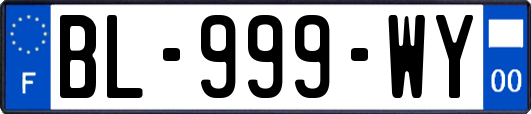 BL-999-WY