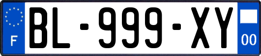 BL-999-XY