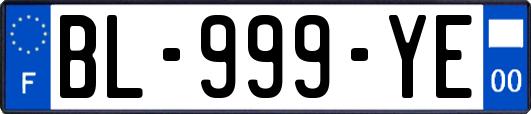 BL-999-YE