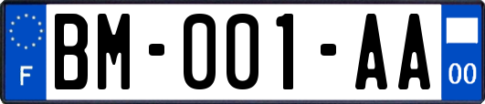 BM-001-AA