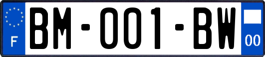 BM-001-BW