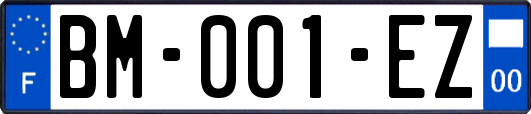 BM-001-EZ