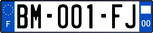 BM-001-FJ