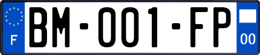 BM-001-FP