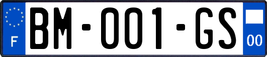 BM-001-GS