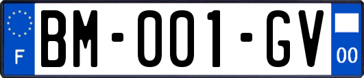 BM-001-GV