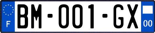 BM-001-GX