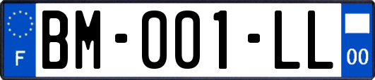 BM-001-LL