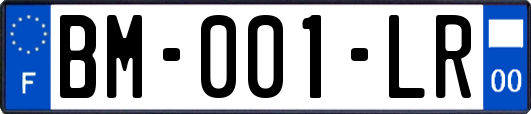 BM-001-LR