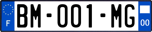 BM-001-MG