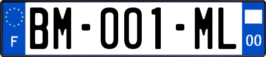 BM-001-ML