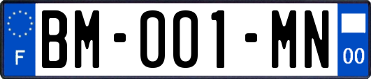 BM-001-MN