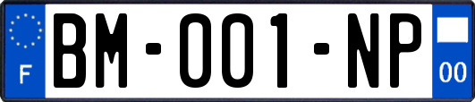 BM-001-NP