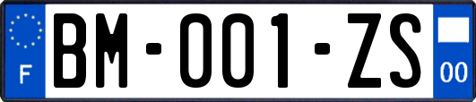 BM-001-ZS