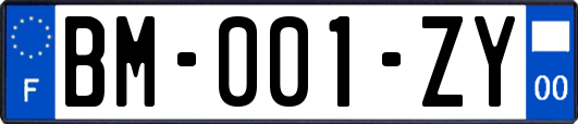 BM-001-ZY