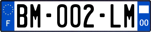 BM-002-LM