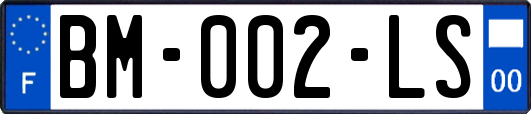 BM-002-LS