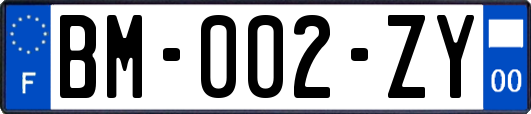 BM-002-ZY