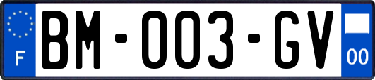 BM-003-GV