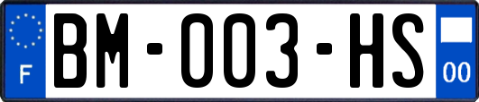 BM-003-HS