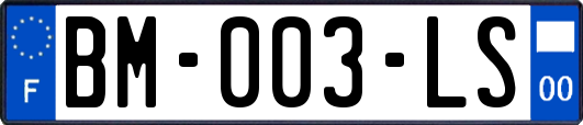 BM-003-LS