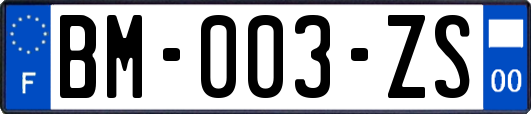 BM-003-ZS