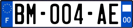 BM-004-AE