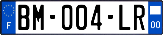 BM-004-LR