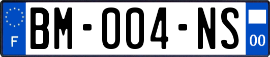 BM-004-NS